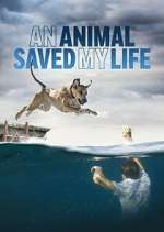 Watch An Animal Saved My Life 1channel