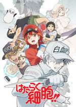 Watch Cells at Work! 1channel