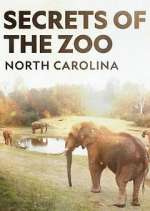 Watch Secrets of the Zoo: North Carolina 1channel