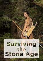 Watch Surviving the Stone Age 1channel