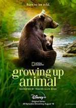 Watch Growing Up Animal 1channel