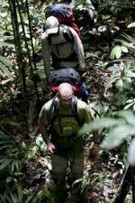 Watch Walking The Amazon 1channel