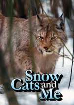 Watch Snow Cats and Me 1channel