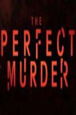 Watch The Perfect Murder 1channel