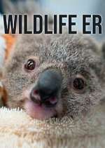 Watch Wildlife ER 1channel