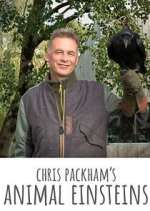 Watch Chris Packham's Animal Einsteins 1channel