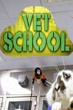 Watch Vet School 1channel