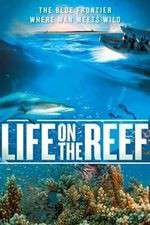 Watch Life on the Reef 1channel