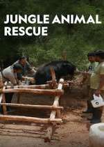 Watch Jungle Animal Rescue 1channel