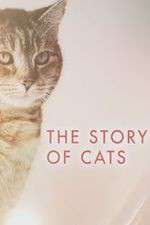 Watch The Story of Cats 1channel