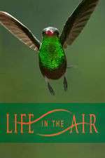 Watch Life in the Air 1channel