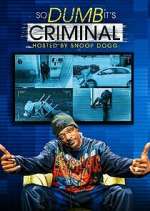 Watch So Dumb It's Criminal 1channel