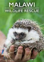Watch Malawi Wildlife Rescue 1channel