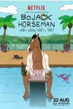 Watch BoJack Horseman 1channel