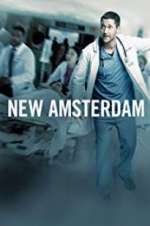 Watch New Amsterdam 1channel