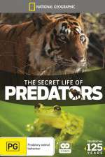 Watch Secret Life of Predators 1channel