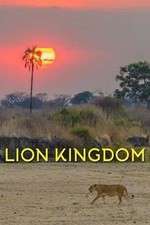 Watch Lion Kingdom 1channel