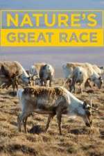 Watch Nature's Great Race 1channel