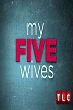 Watch My Five Wives 1channel