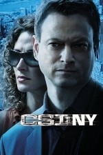 Watch CSI: NY / New York 1channel