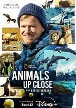 Watch Animals Up Close with Bertie Gregory 1channel