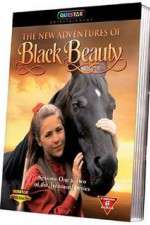 Watch The New Adventures of Black Beauty 1channel