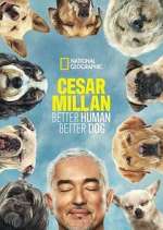 Watch Cesar Millan: Better Human Better Dog 1channel