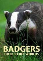 Watch Badgers: Their Secret Worlds 1channel