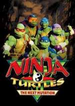 Watch Ninja Turtles: The Next Mutation 1channel