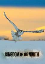 Watch Kingdom of the North 1channel