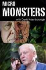 Watch Micro Monsters 3D with David Attenborough 1channel