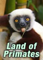 Watch Land of Primates 1channel