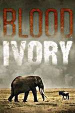 Watch Blood Ivory 1channel