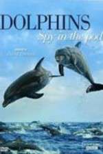 Watch Dolphins: Spy in the Pod 1channel