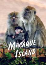 Watch Macaque Island 1channel