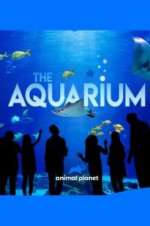 Watch The Aquarium 1channel