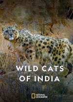 Watch Wild Cats of India 1channel