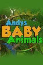 Watch Andy's Baby Animals 1channel