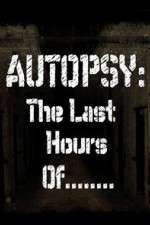 Watch Autopsy: The Last Hours Of... 1channel