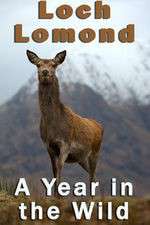 Watch Loch Lomond: A Year in the Wild 1channel