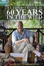 Watch Attenborough 60 Years in the Wild 1channel