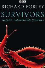 Watch Survivors: Nature's Indestructible Creatures 1channel