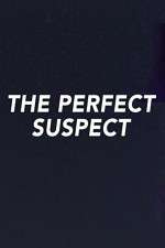 Watch The Perfect Suspect 1channel