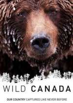 Watch Wild Canada 1channel