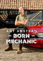 Watch Ant Anstead: Born Mechanic 1channel