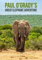 Watch Paul O'Grady's Great Elephant Adventure 1channel