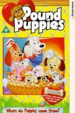 Watch Pound Puppies 1channel