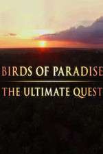 Watch Birds of Paradise: The Ultimate Quest 1channel