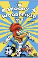 Watch The Woody Woodpecker Show 1channel