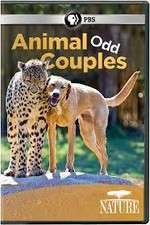 Watch Animal Odd Couples 1channel